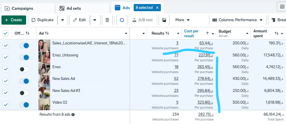 Paid ad lead generation result screenshot 1